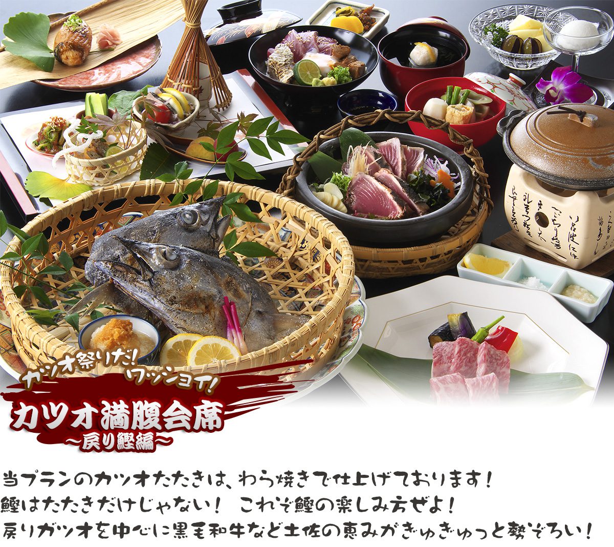 カツオ祭りだ ワッショイ カツオ満腹会席 戻り鰹編 高知のホテル 旅館 城西館 カツオ祭りだ ワッショイ カツオ満腹会席 戻り鰹編 高知のホテル 旅館 城西館