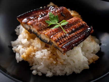 四万十鰻ご飯