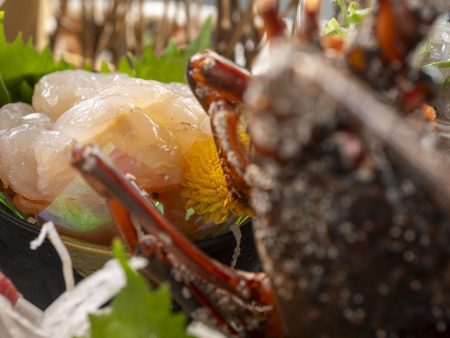 【地物伊勢海老のお刺身】ぷりぷり食感と上品な甘味が味わえる伊勢海老をお刺身でいただく♪