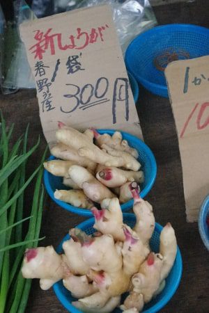 よさこい祭りで有名な高知市追手筋で開かれる高知の風物詩高知市追手筋で開かれる高知の風物詩「日曜市」