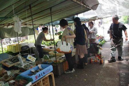 よさこい祭りで有名な高知市追手筋で開かれる高知の風物詩高知市追手筋で開かれる高知の風物詩「日曜市」