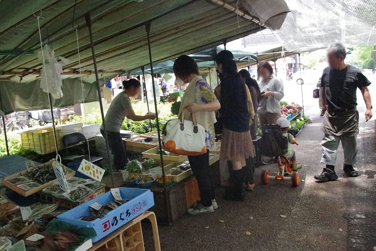 日曜市 木曜市 火曜市の朝市散策 観光案内 高知市上町 ホテル 城西館