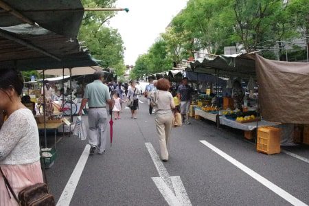 よさこい祭りで有名な高知市追手筋で開かれる高知の風物詩高知市追手筋で開かれる高知の風物詩「日曜市」