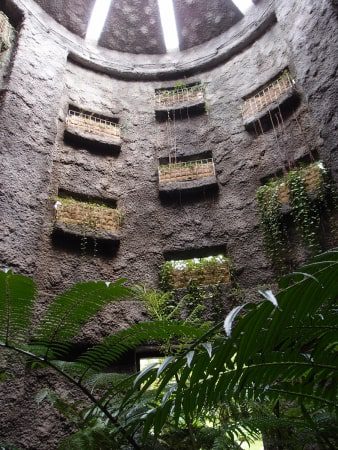 五台山・牧野植物園