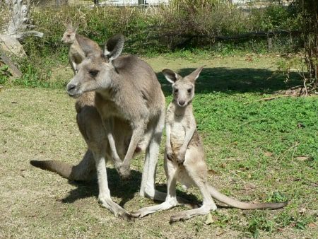 のいち動物公園