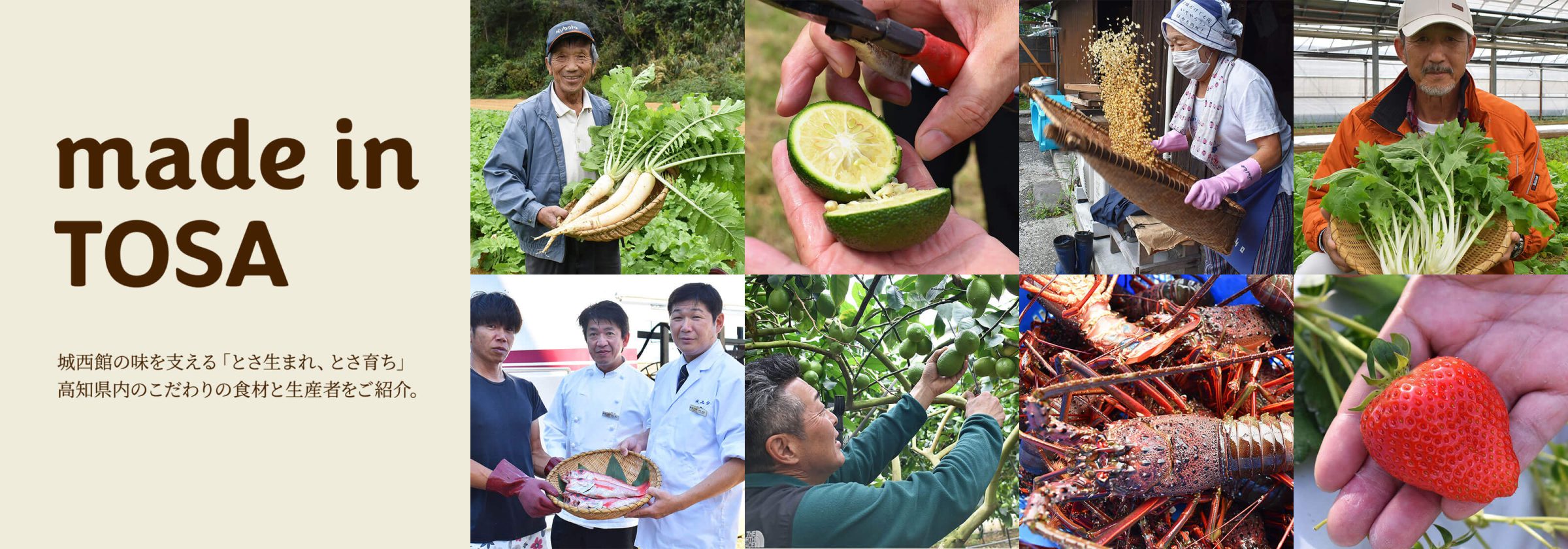 made in TOSA｜城西館の味を支える「とさ生まれ、とさ育ち」高知県内のこだわりの食材と生産者をご紹介